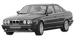 BMW E34 P189D Fault Code